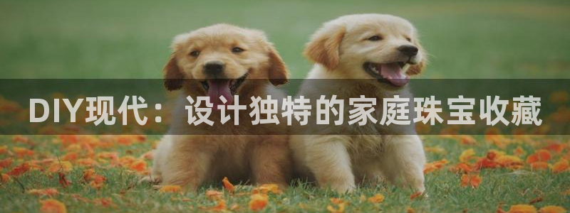 天宏娱乐在线播放