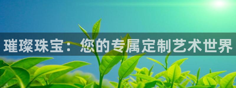 天宏娱乐小号官网入口