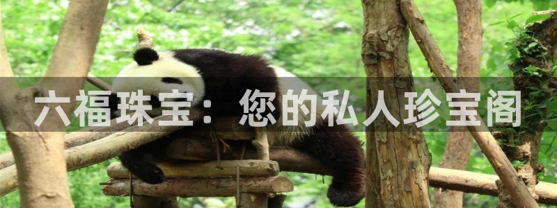 天宏娱乐的王叔