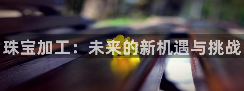 天宏娱乐大叔团队介绍视频