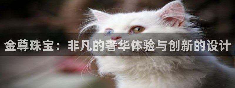 天宏娱乐怎样赚钱的啊