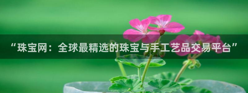 天宏娱乐倒闭了吗