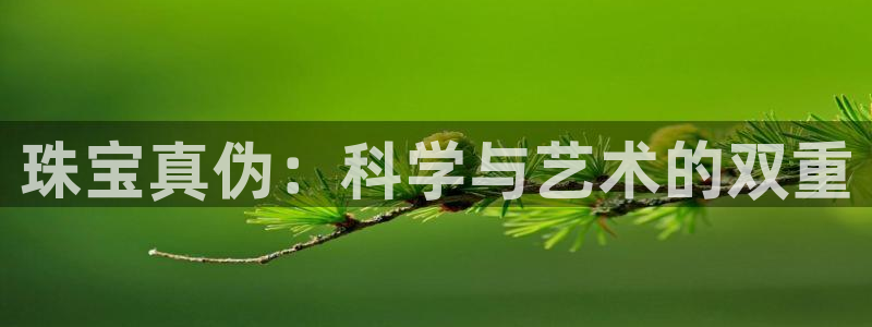 天宏娱乐有限公司