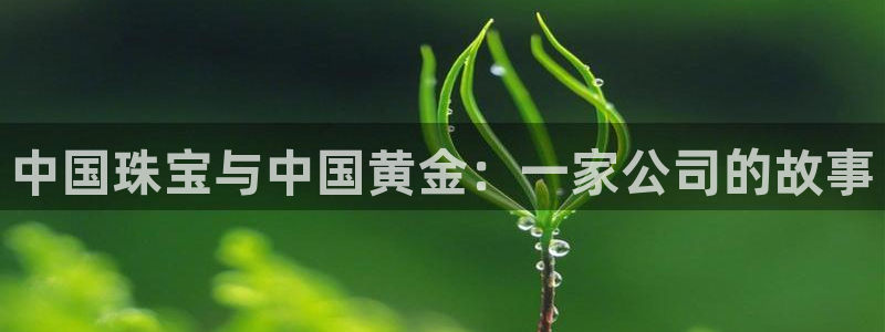 天宏娱乐32937股东