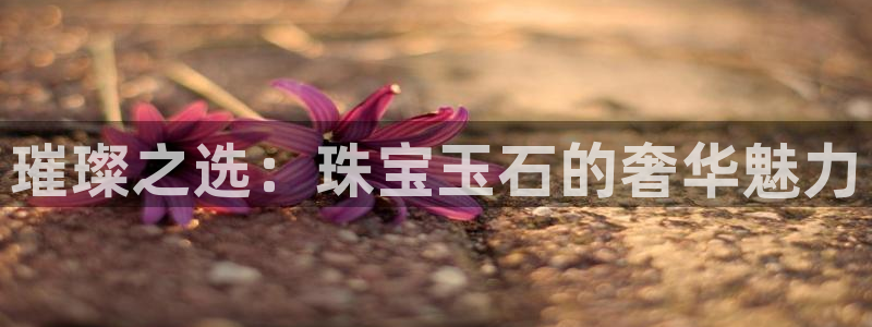 天宏娱乐秦叔老婆