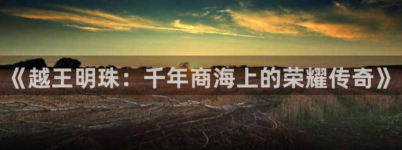 天宏娱乐创始人简介