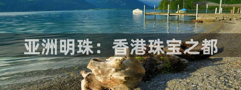 天宏娱乐大叔团成员