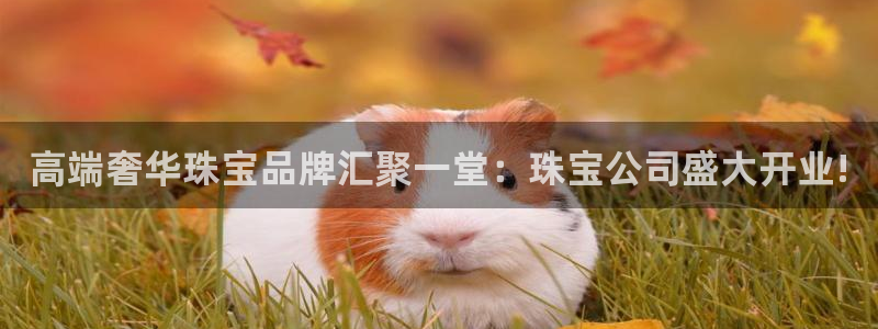 西安天宏娱乐团队招聘