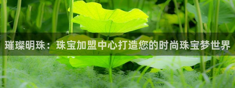 天宏娱乐直播团队名单