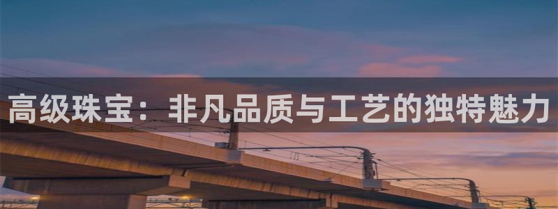 天亿娱乐宏发团队