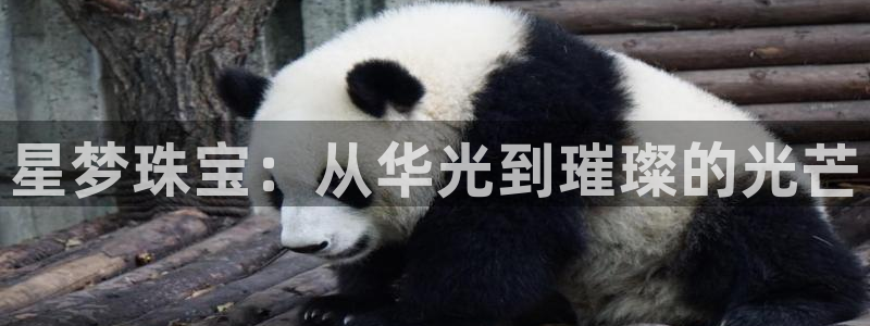 天宏娱乐创始人