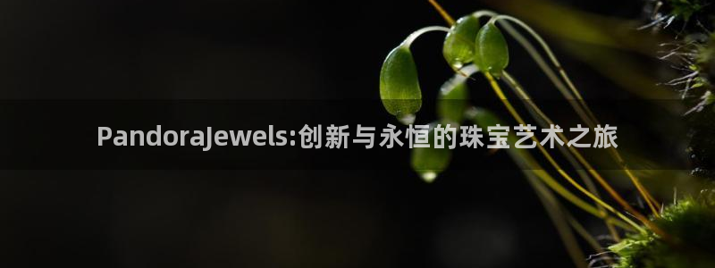 天宏娱乐青风:PandoraJewels:创新与永恒的珠宝艺