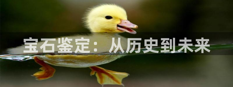 天宏娱乐总店电话地址：宝石鉴定：从历史到未来